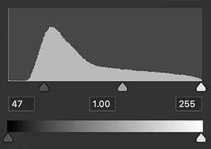 UI — Levels