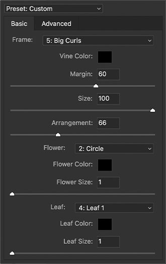 UI — Picture Frame (Basic)
