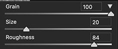 UI — Camera Raw Filter grain