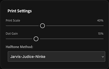 UI — Print Settings