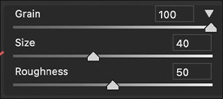 UI — Camera Raw Filter grain